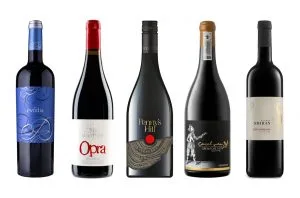 International Grenache Day: Top-scoring wines to try