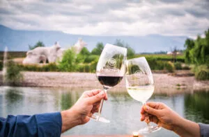 Huentala Wines: A key name for winemaking in Mendoza