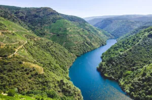 Ribeira Sacra – Galician government authorises unprecedented crisis distillation