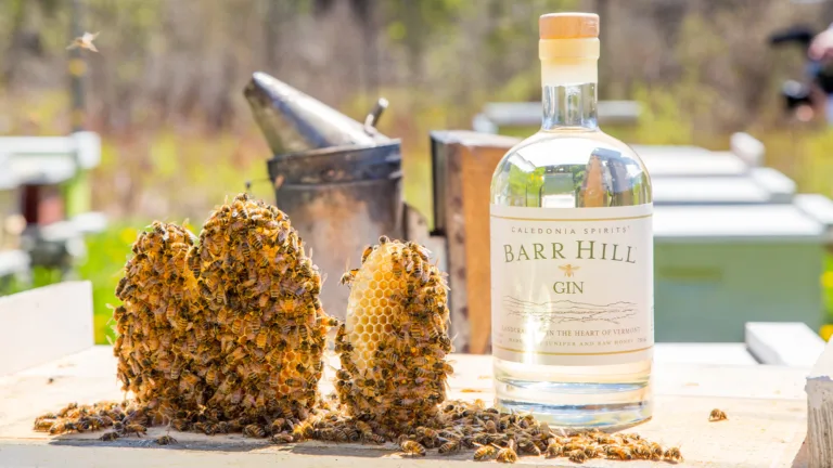 Save the Bees With Every Pour of Barr Hill