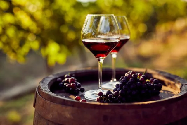 , New study reasserts red wine helps reduce dementia risk