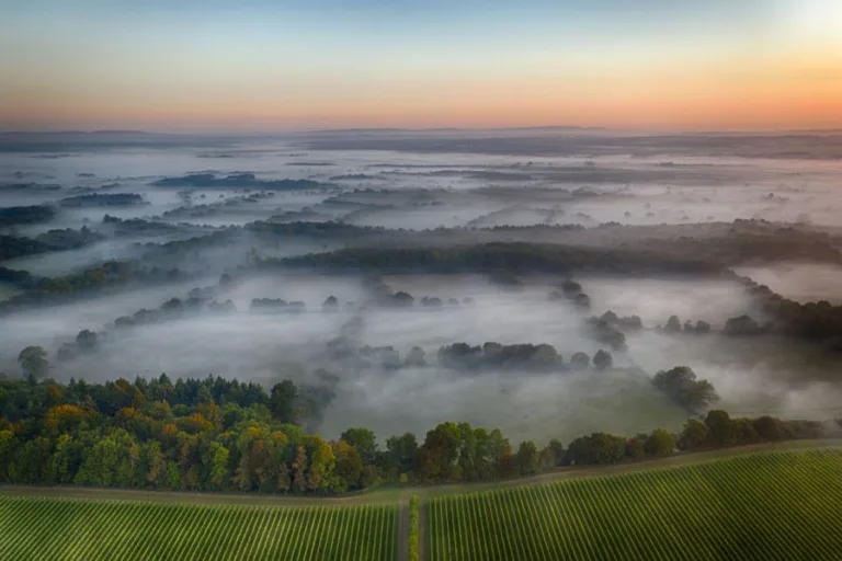 Top Wineries of Great Britain 2024 revealed