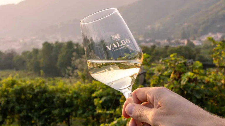 Versatility, Tradition and Innovation: Valdo Is the Next Level of Prosecco