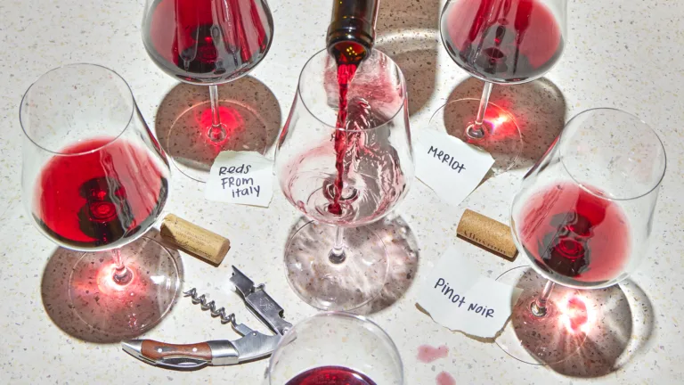 We Asked 14 Wine Pros: What’s the Best Red Wine for Beginners?