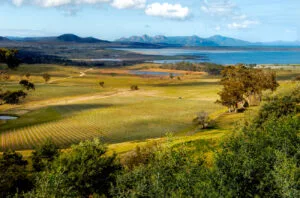 Tasmania in its stride: Uncovering the island state&#8217;s exceptional wines