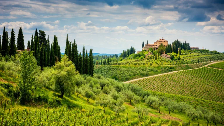 Wine 101: Italy Part VII: Chianti Merges With Chianti