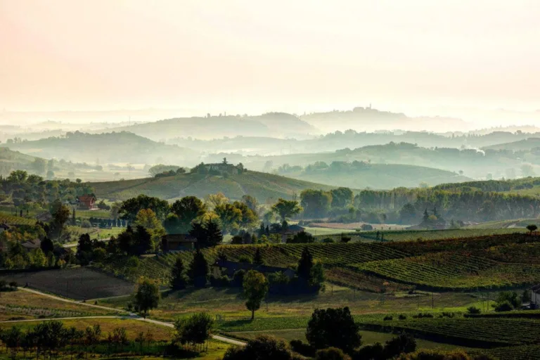 Barbera d’Asti