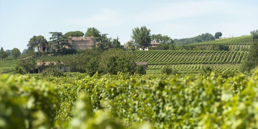 , Discover Southwest France, a Wildly Diverse Wine Region