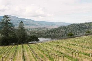 Napa&#8217;s new Crystal Springs AVA approved