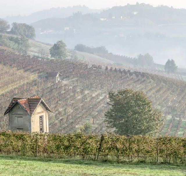 The Historic Coppo winery of Piedmont and their UNESCO underground wine cellars