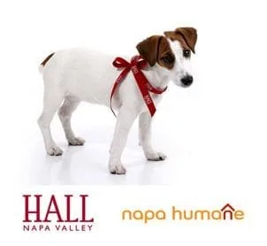 , Hall Napa Valley and Napa Humane Team up for 7th Annual Harvest Hounds Event on November 10