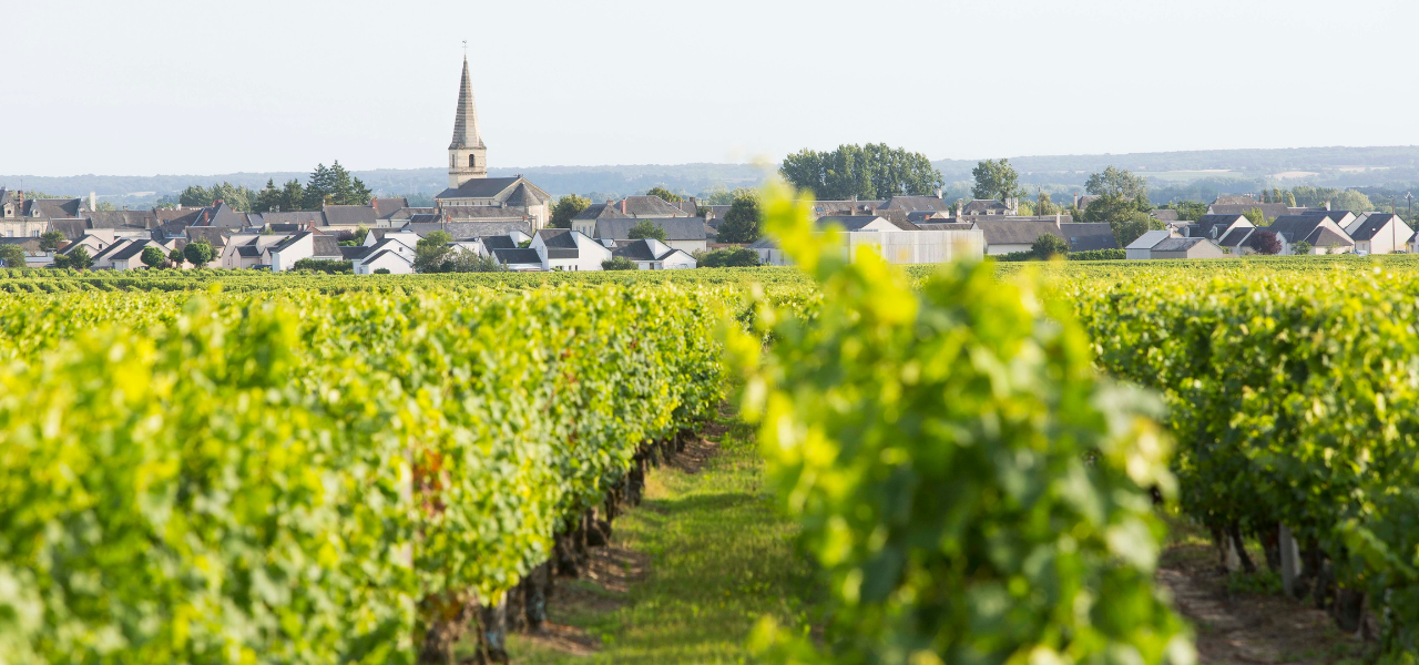 , Go on—Bloom Big with Loire Wines