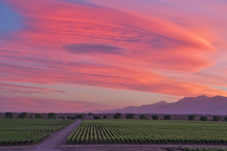 Celebrating Two Decades of Clos de los Siete’s Trailblazing C7 Bordeaux Blend in Mendoza