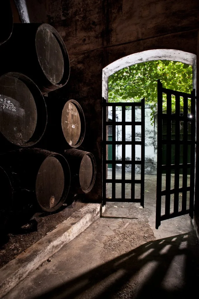 Barbadillo, bodega terroir and the ‘sweet spot’ for Sherry