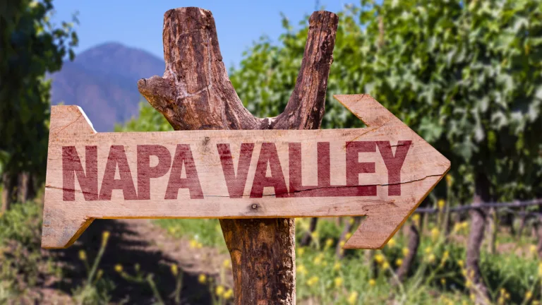 The 10 Most Expensive Napa Wines in the World (2024)