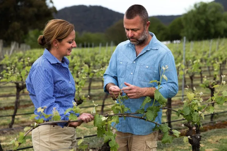 Mount Langi Ghiran’s quality focused shiraz