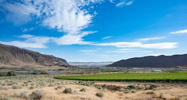 Washington Welcomes 21st American Viticultural Area