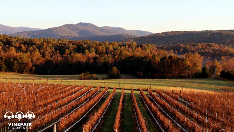 The VinePair Podcast: Virginia’s Wine Industry Is Blossoming