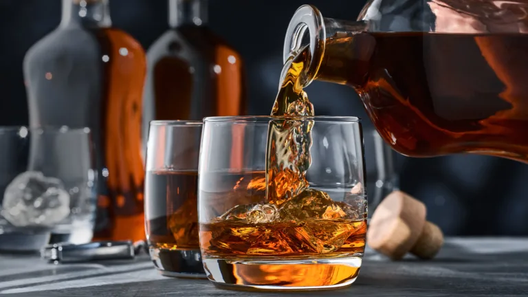 We Asked 12 Bartenders: What’s the Best Scotch for Beginners? (2024)