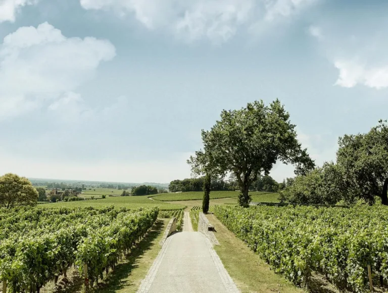 Château Beauséjour: entering a new era