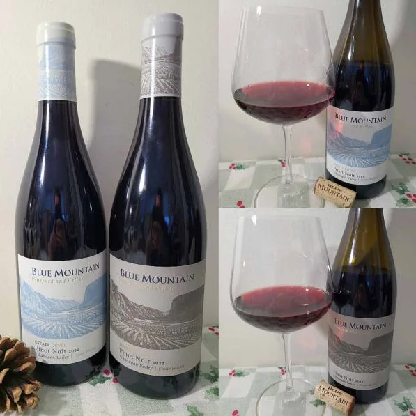 , Two Blue Mountain Vineyards and Cellars Pinot Noir Wines to EnjoyPR SAMPLE 