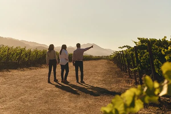 Blending Tradition and Innovation: CHANDON’s Shift to a Fully Digital Winemaking System