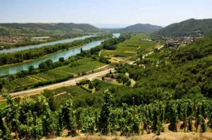 , 2023 Rhône Vintage Report on Decanter Premium