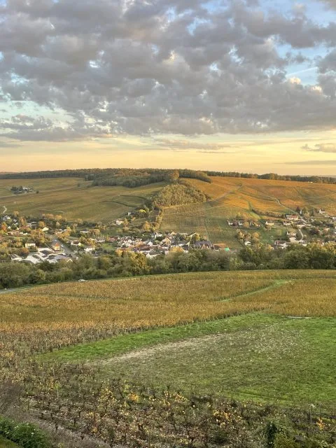 A ‘challenging yet surprising’ vintage for Centre-Loire in 2024