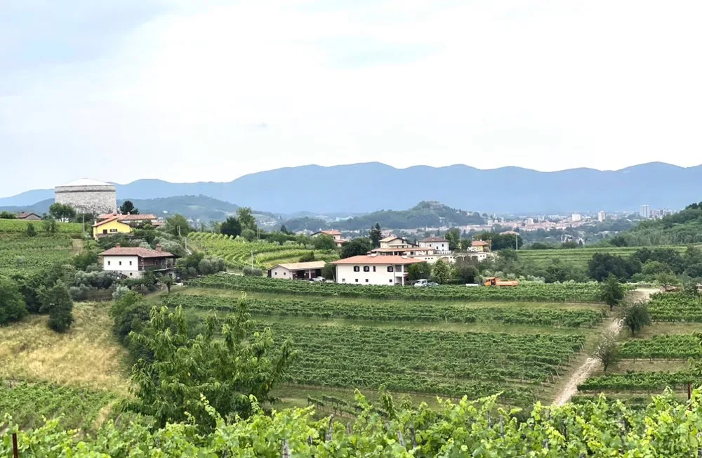 , Collio DOC: Discovering One of Italy&#8217;s Finest White Wines