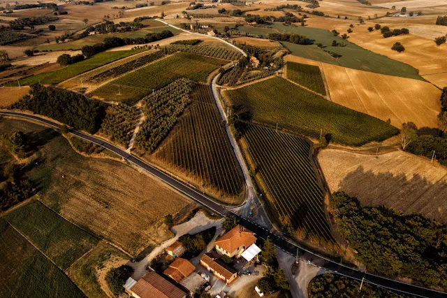 Thanksgiving Feast with Umbrian Madrevite Gamay del Trasimeno