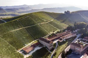 Piedmont&#8217;s signature standouts: Exploring Nebbiolo and new horizons