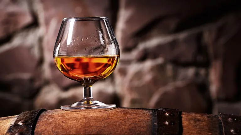 We Asked 15 Bartenders: Which Cognac Offers the Best Bang for Your Buck? (2024)