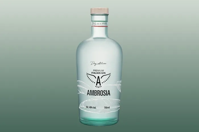 , Explore the Highly Expressive World of 2024’s Best Gins