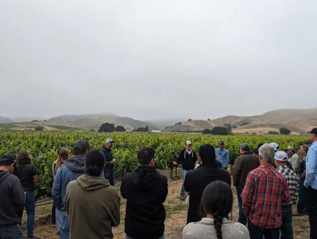 , Vineyard Team Reflects on a Landmark Year of Sustainability and Growth