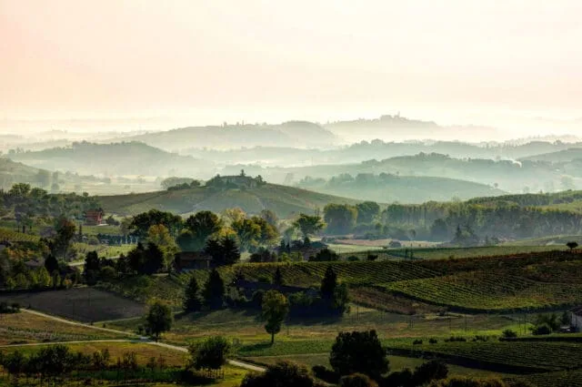 , The Barbera D’Asti and Monferrato Wines Consortium: 2024, a Year of Success and International Promotion