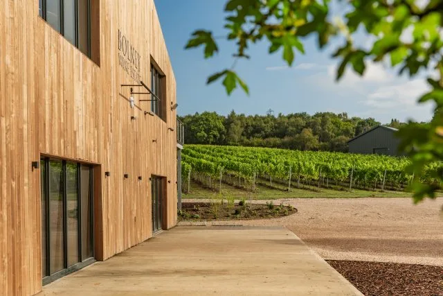 Bolney Wine Estate’s James Davis MW on duty changes, English sparkling and future opportunities