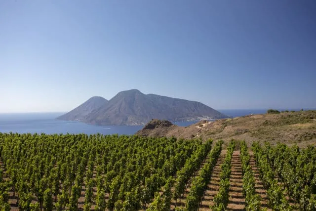 Nero Ossidiana, the Red of the Aeolian Islands By Tenuta Di Castellaro