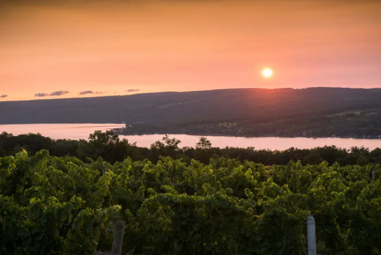 Discovering the Finger Lakes: A Taste of Dr. Konstantin Frank Winery