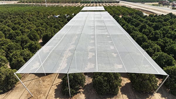 Proven Heat Protection: Study Validates Shade Structures for Grapes