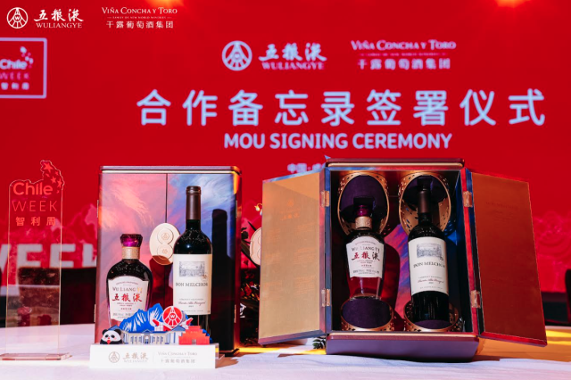 , Viña Concha y Toro signs deal with China’s Wuliangye baijiu