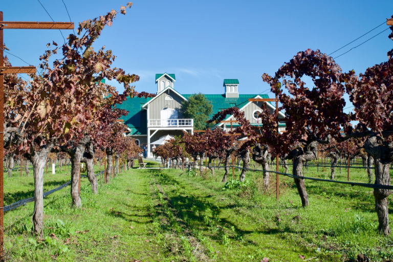 The Majesty of Time: 25 Years of Corison’s Kronos Cabernet