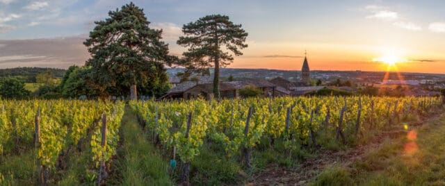 Pouilly-Loché and Pouilly-Vinzelles Now Have Their Premier Crus