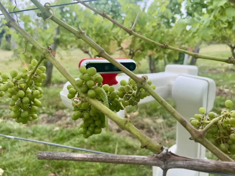 British wine industry secures government funding for robotics project